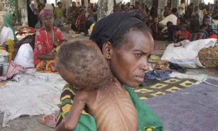 ONU : la Somalie glisse vers une famine qui pourrait touchée 50% de la population