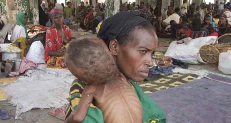 ONU : la Somalie glisse vers une famine qui pourrait touchée 50% de la population