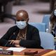 Le Conseil de sécurité appelle à la nécessité de rétablir l'autorité de l'État en RDC