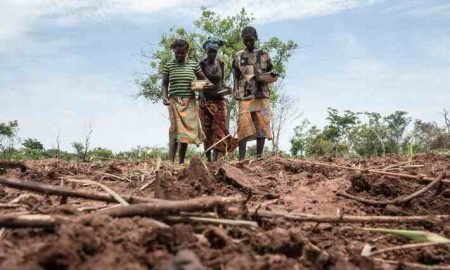 2,2 millions de personnes sont en situation d'insécurité alimentaire aiguë en République centrafricaine