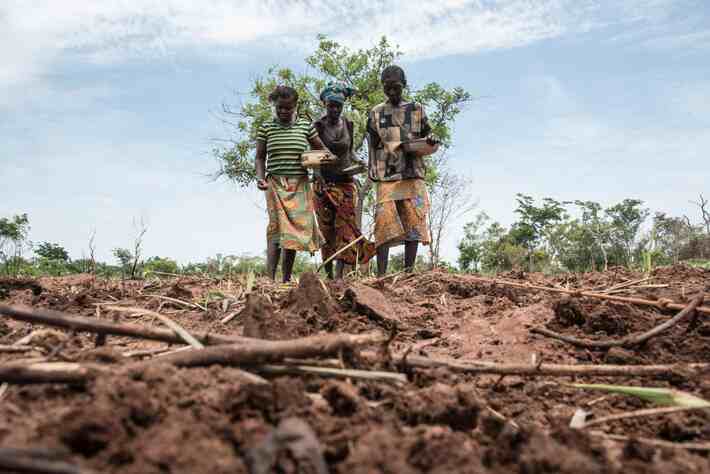 2,2 millions de personnes sont en situation d'insécurité alimentaire aiguë en République centrafricaine