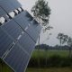 Les systèmes de pompes solaires apportent la sécurité alimentaire au Sénégal et en Guinée