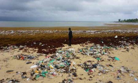 Des algues nauséabondes perturbent l'industrie de la pêche et du tourisme en Sierra Leone