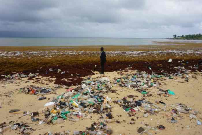 Des algues nauséabondes perturbent l'industrie de la pêche et du tourisme en Sierra Leone