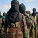Addis-Abeba : Nous avons tué 800 militants d'al-Shabab qui ont traversé la frontière