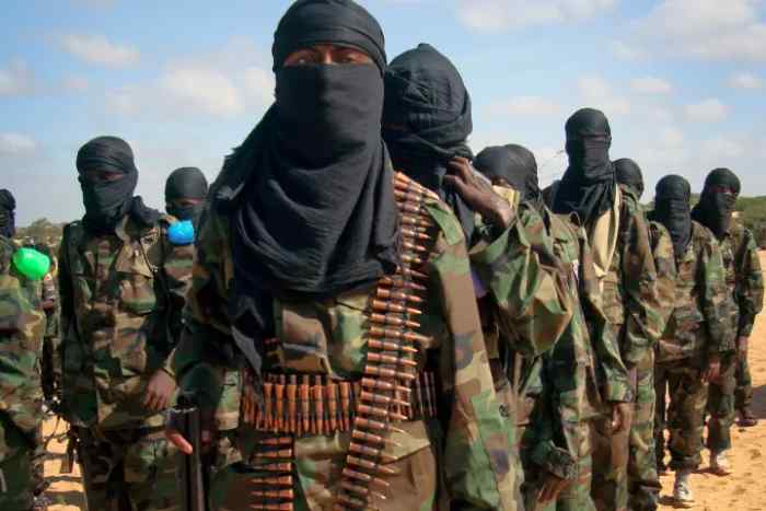 Addis-Abeba : Nous avons tué 800 militants d'al-Shabab qui ont traversé la frontière