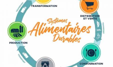 Les dirigeants d'Afrique et des Amériques conviennent de s'associer pour faire progresser la transformation du système alimentaire