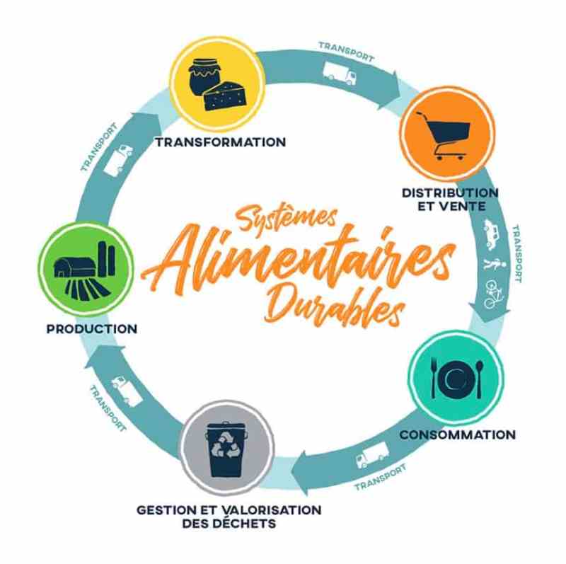 Les dirigeants d'Afrique et des Amériques conviennent de s'associer pour faire progresser la transformation du système alimentaire