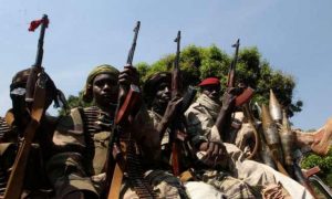 Un expert de l'ONU accuse les milices armées d'Afrique centrale de répandre la terreur