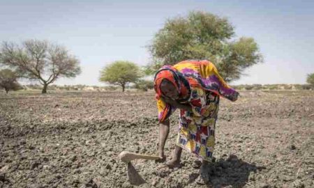 Le développement de l'Afrique appelle à une mobilisation de 25 milliards de dollars pour l'adaptation au climat en Afrique