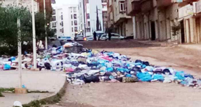 Les ordures envahissent les espaces verts en Algérie
