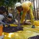 Avec une augmentation de 500 millions de dollars, le café éthiopien atteint des taux de production record