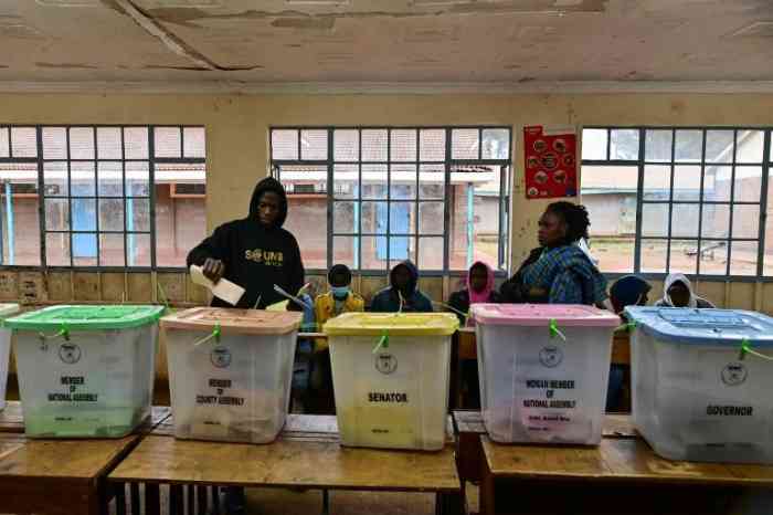 Elections présidentielles et législatives au Kenya, "Roto" et "Odinga" en tête
