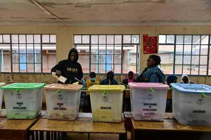 L'Union européenne salue les élections législatives au Kenya