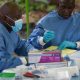 L'OMS annonce le début des vaccinations contre Ebola dans l'est de la République démocratique du Congo