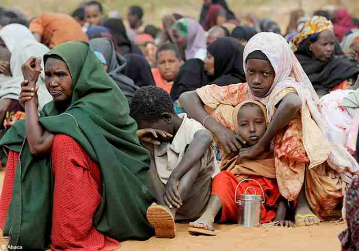 Somalie : un "risque raisonnable" de famine dans 8 régions d'ici le mois prochain si des mesures ne sont pas prises rapidement