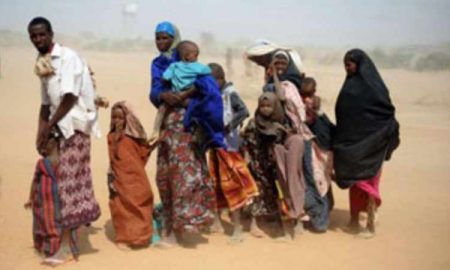 7 millions de Somaliens sont au bord de la famine en raison d'une grave sécheresse