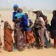 7 millions de Somaliens sont au bord de la famine en raison d'une grave sécheresse