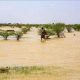 L'état d'alerte au Soudan en raison des inondations et du niveau des rivières est à son plus haut niveau depuis 76 ans