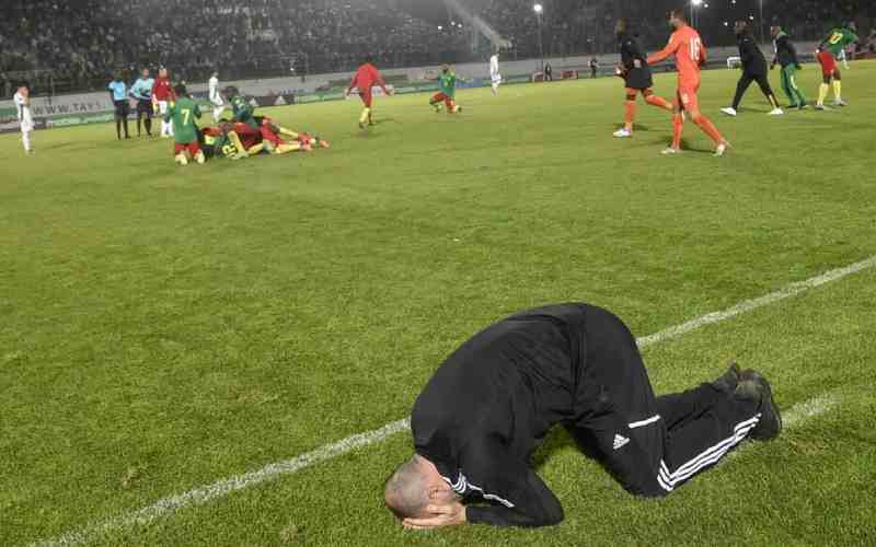 Stupidité algérienne, le match entre le Cameroun et l'Algérie se rejouera après la fin de la Coupe du monde