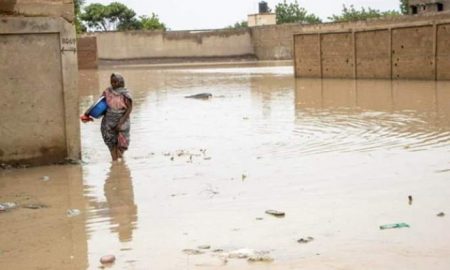 Tchad : les inondations font 22 morts et les Nations Unies soutiennent les efforts de réponse humanitaire