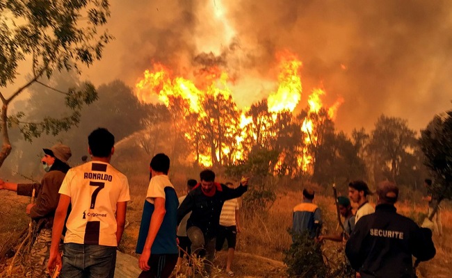 Algérie :13 personnes soupçonnées d'être impliquées dans des incendies de forêts ont été arrêtées