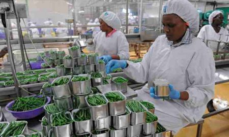 Le Centre de développement de l'agro-industrie a lancé un programme d'accélération des entreprises (BAP)