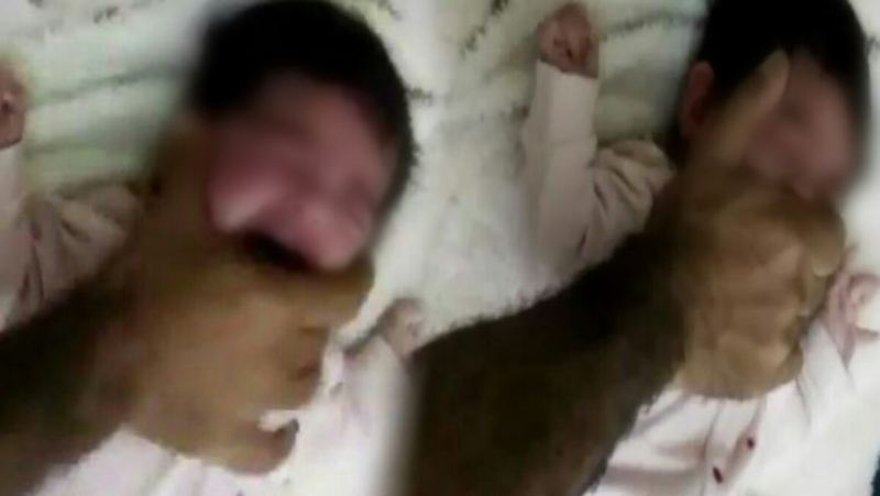 Grande crainte de la propagation du phénomène du viol des bébés en Algérie