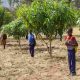 Un ambitieux projet de reboisement de 100 000 hectares de forêts menacées par la désertification en Angola