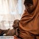 La FAO met en garde contre la famine dans certaines parties de la Somalie
