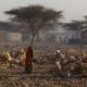 Un responsable de l'ONU : la Somalie a besoin d'au moins 1 milliard de dollars pour éviter la famine