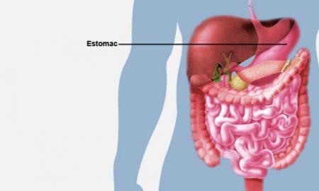 Organisation de 8 cours de formation en Tanzanie sur le cancer gastro-intestinal et du foie