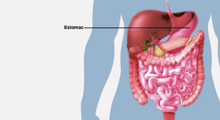 Organisation de 8 cours de formation en Tanzanie sur le cancer gastro-intestinal et du foie