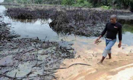 L'offre de Shell pour nettoyer l'Ogoniland pollué est qualifiée "d'incompétent"