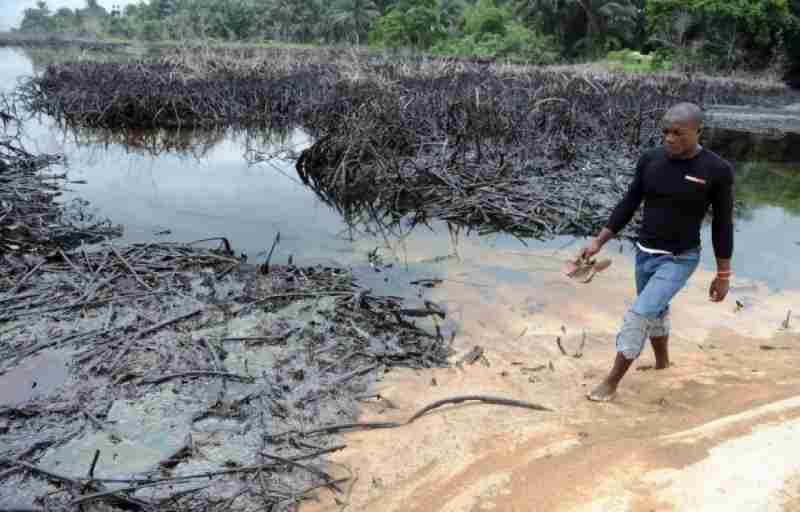 L'offre de Shell pour nettoyer l'Ogoniland pollué est qualifiée "d'incompétent"