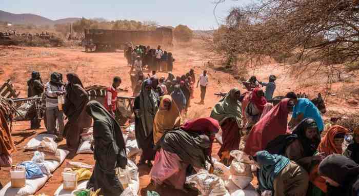 Somalie : le Représentant du Secrétaire général souligne les efforts déployés pour éviter la famine
