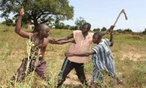 19 personnes ont été tuées dans des affrontements entre agriculteurs et éleveurs dans le sud du Tchad