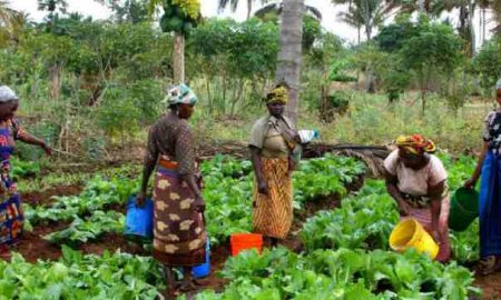 Un projet conjoint des Nations Unies pour autonomiser les femmes rurales en Afrique