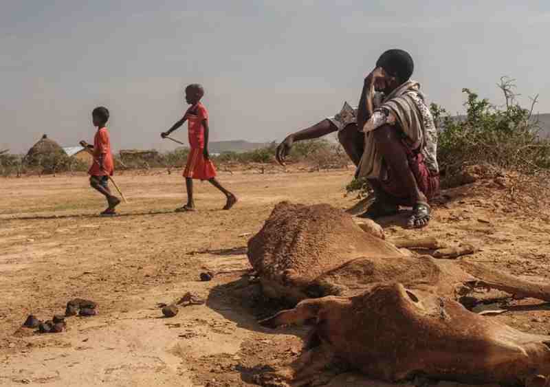 Afrique : sa contribution aux émissions est faible mais les effets du changement climatique sont graves