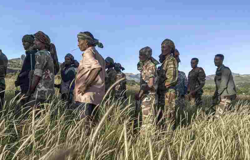 Crise du Tigré : les hyènes se régalent de cadavres alors que les forces éthiopiennes se retirent