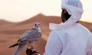 3 jeunes hommes sont partis à la chasse au faucon, et ils ont été surpris par la mort au cœur du désert en Égypte