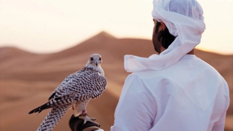 3 jeunes hommes sont partis à la chasse au faucon, et ils ont été surpris par la mort au cœur du désert en Égypte