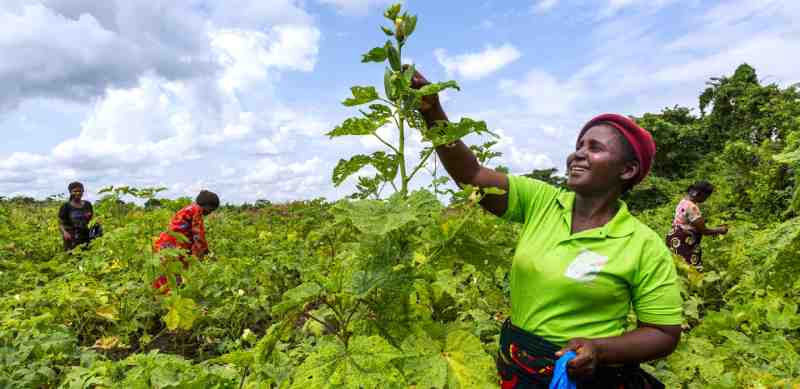 Un nouveau rapport décrit comment la finance numérique peut stimuler l'autonomisation économique des femmes en Afrique