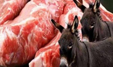Pourquoi les généraux insistent à nourrir les algériens de la viande d'ânes et de chiens ?