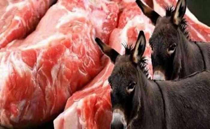 Pourquoi les généraux insistent à nourrir les algériens de la viande d'ânes et de chiens ?