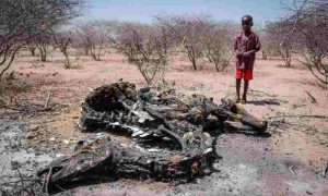 Les Kényans sont parmi les plus optimistes quant à la résolution d'une catastrophe climatique au cours de leur vie