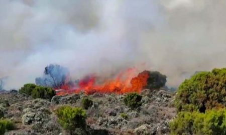 Incendie du mont Kilimandjaro maîtrisé dans le nord-est de la Tanzanie