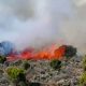 Incendie du mont Kilimandjaro maîtrisé dans le nord-est de la Tanzanie