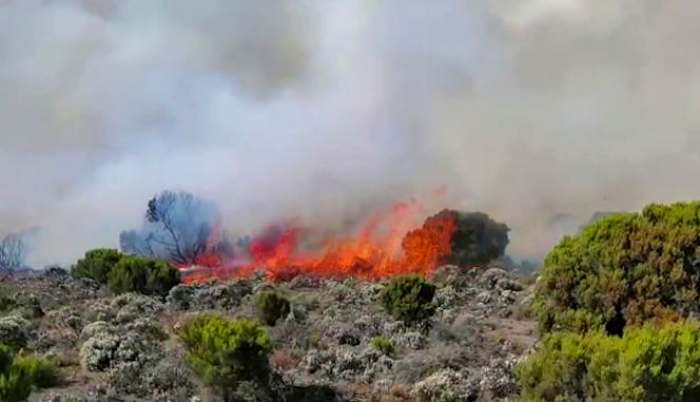 Incendie du mont Kilimandjaro maîtrisé dans le nord-est de la Tanzanie