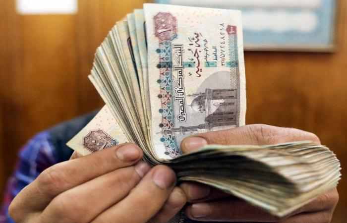 Un taux de change flexible et un indicateur pour la livre égyptienne, cela la libérera-t-il de l'influence du dollar ?